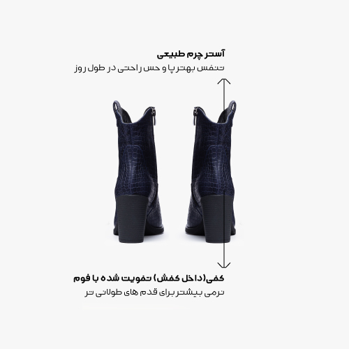 معرفی بلیک ۲